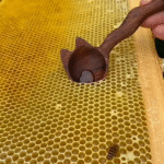 Satisfying 1