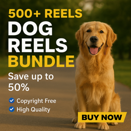 Dog Reels/Shorts Bundle 500+