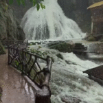 Nature 1